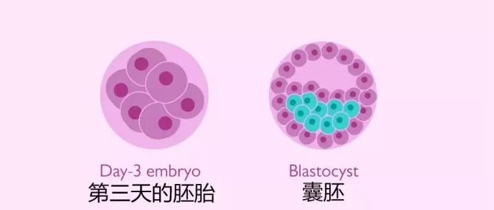 深圳做赠卵三代自怀试管最好的医院是哪家？深圳市人民医院的赠卵代怀做供卵试管技术如何？