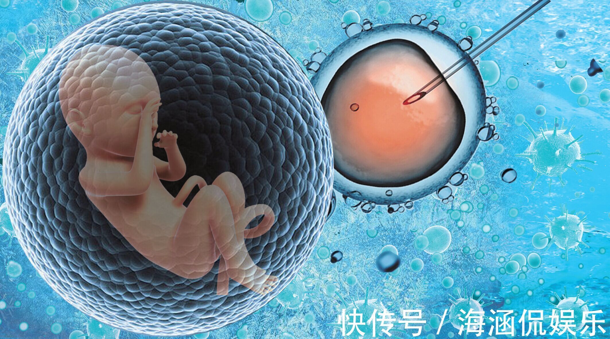 促排卵在供卵试管婴儿试管助孕过程中有什么作用