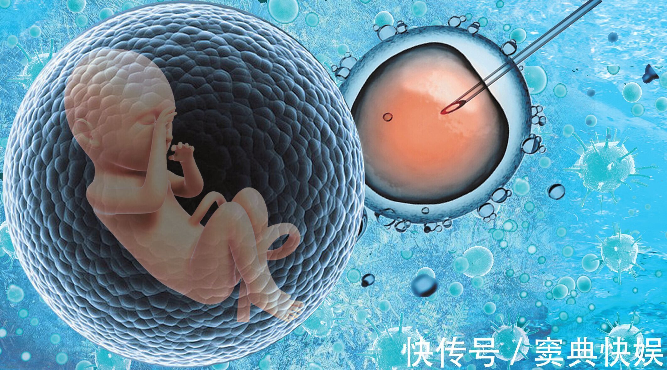 什么是代怀包生男孩无效退款囊胚生化找男人试管代怀囊胚生化的原因是什么