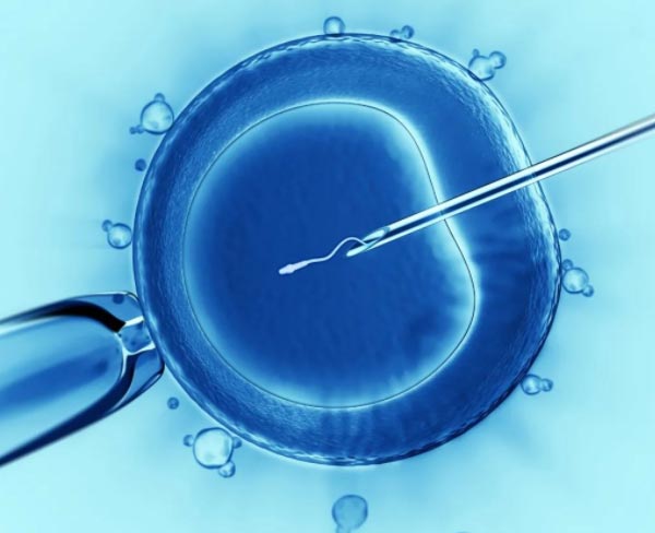 试管代怀心得选男孩移植前怎样才有利于胚胎着床（必看!）